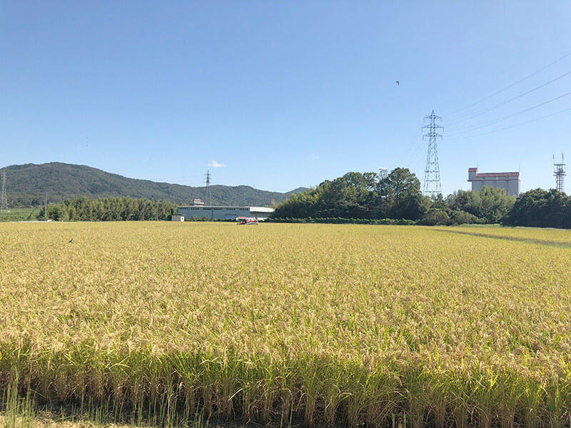 風景